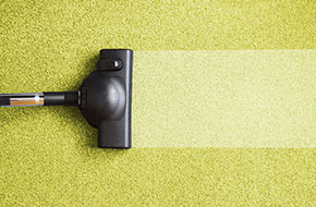 services carpet cleaning